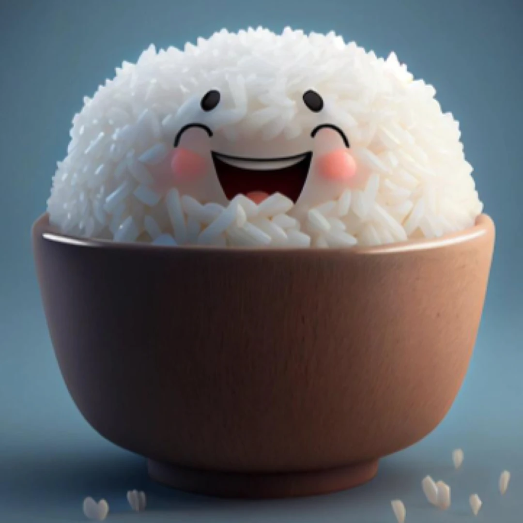 米饭一份（单点不送）