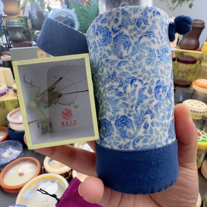 青花扎嘴套啊啊啊啊啊啊