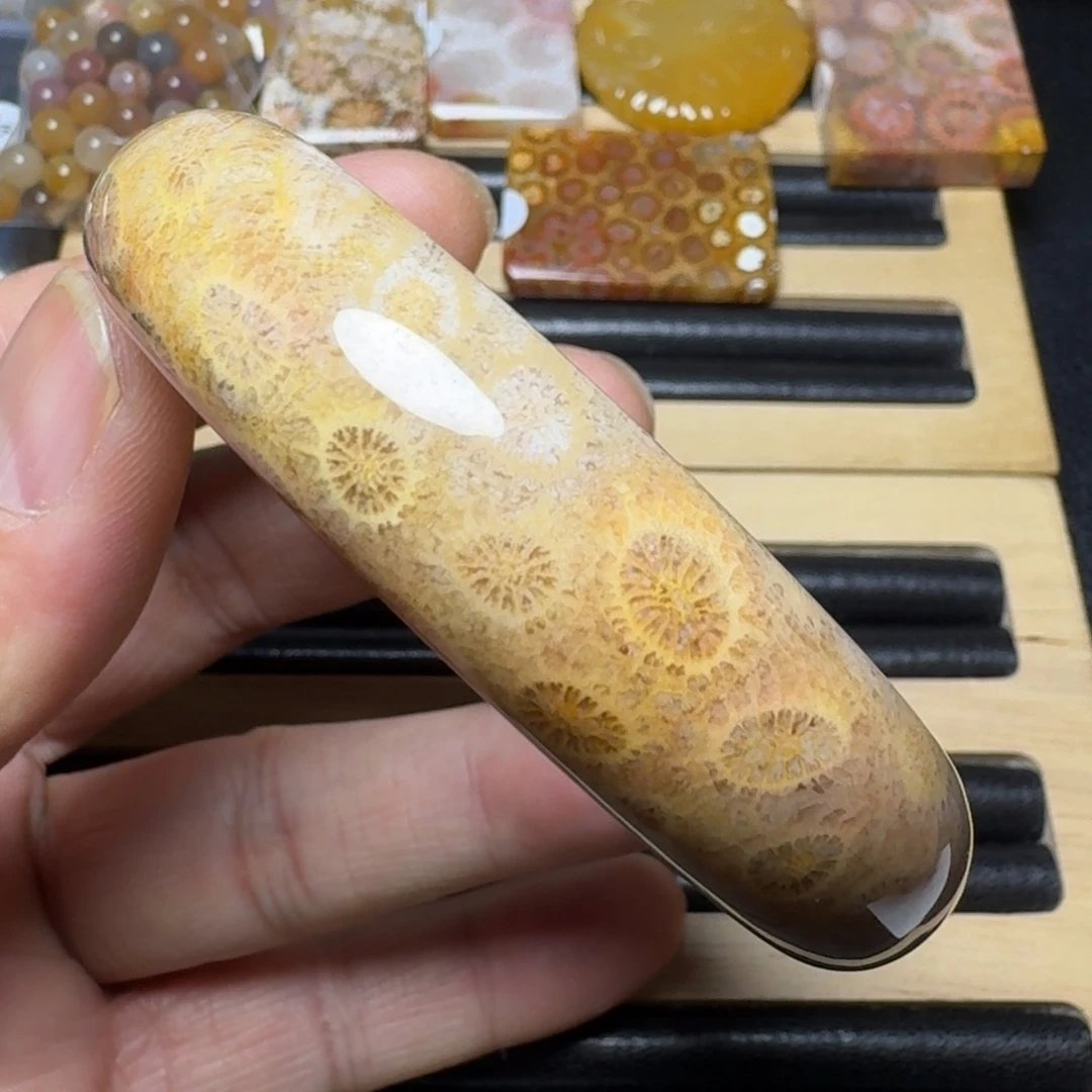 硅化珊瑚（珊瑚玉）纯天然色有机玉石未镶嵌58.5圈口