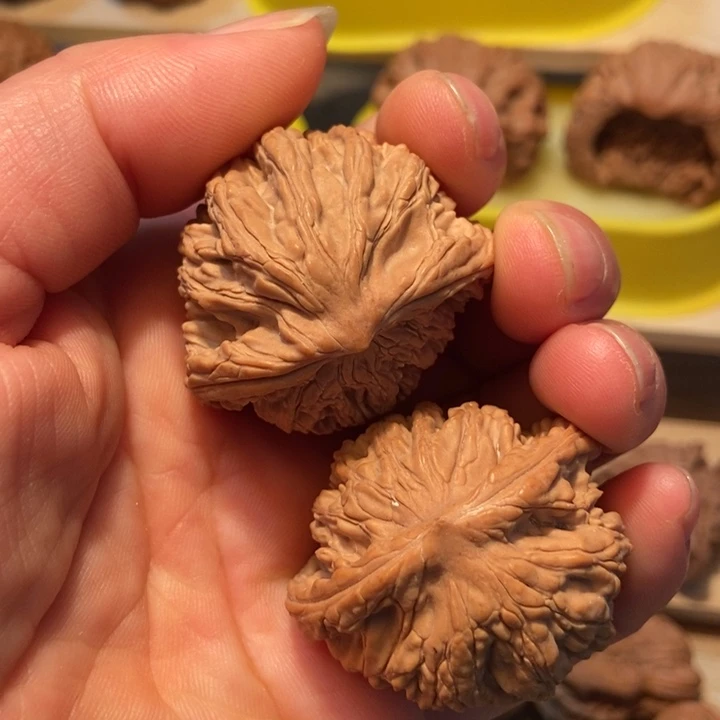 官方网站发布消息