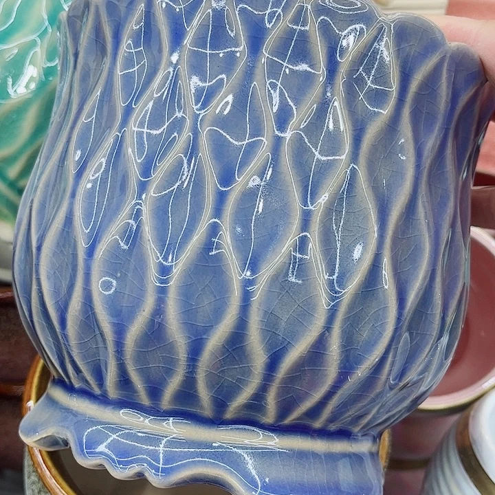 多肉植物陶瓷花盆