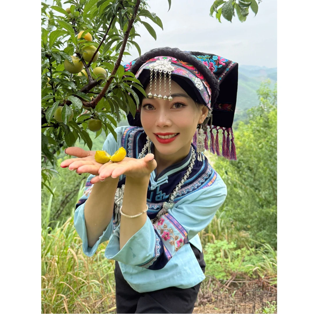 正宗镇宁六马蜂糖李脱骨李应季水果中果60枚1箱顺丰包邮