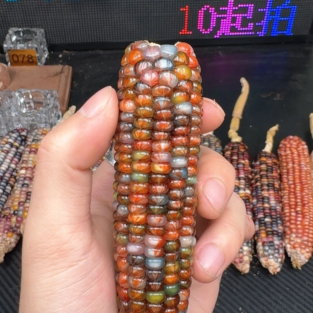 柏香籽/百香籽吊坠米*