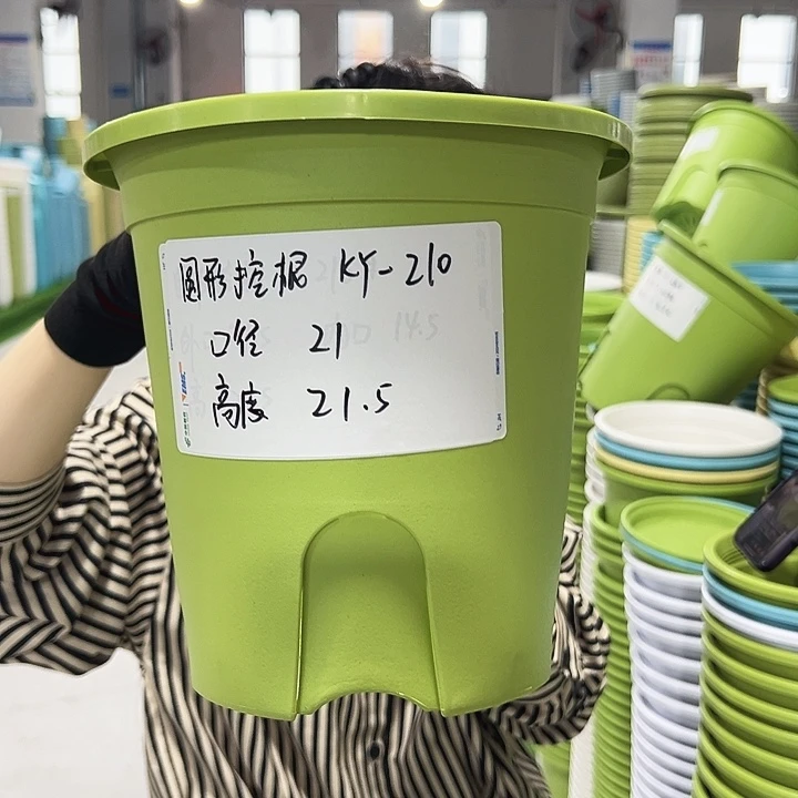 正品圆控根口21高21果绿无托8个