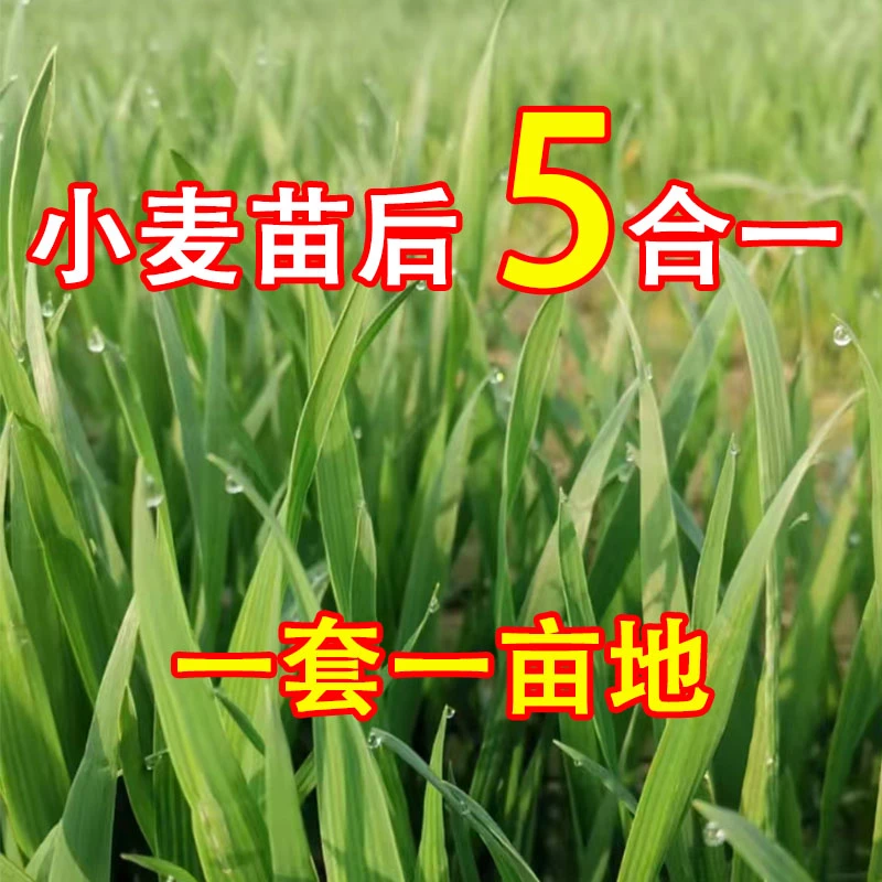 【五合一】小麦苗后技术包小麦苗后专用叶面肥水溶肥