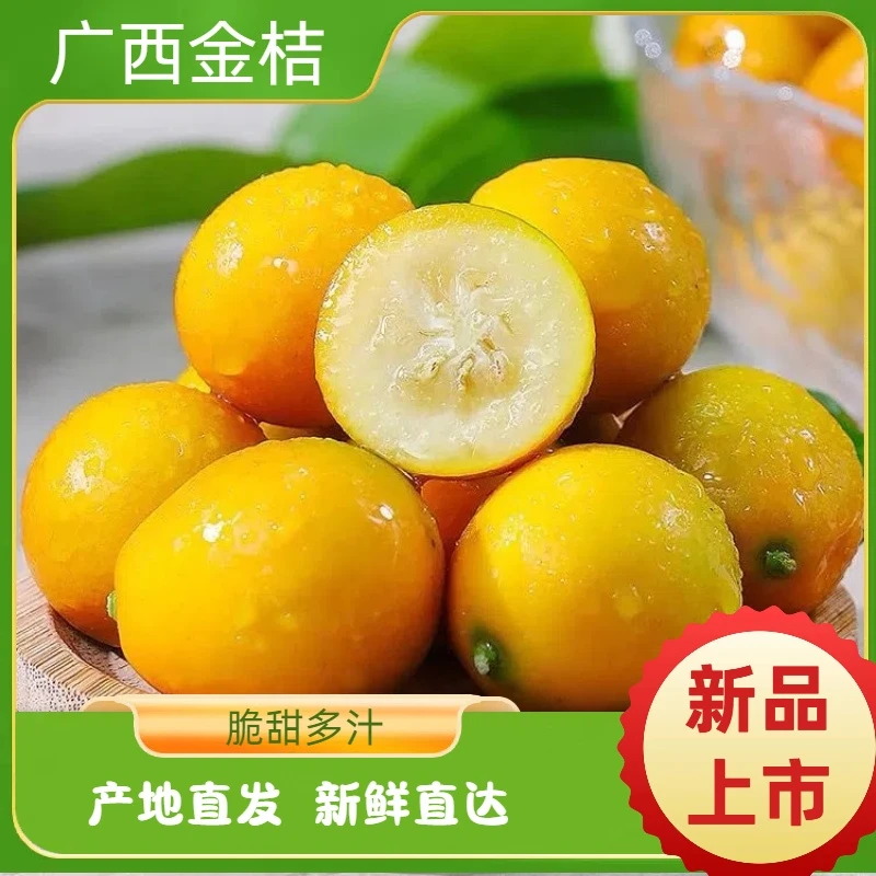 【广西脆皮金桔】应季新鲜水果现摘现发脆甜多汁