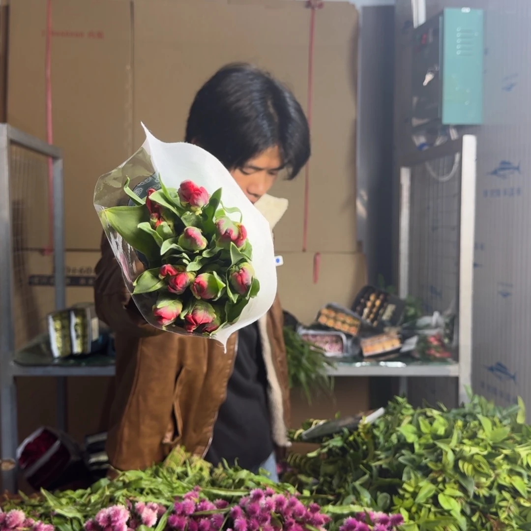 红色郁金香1扎。
