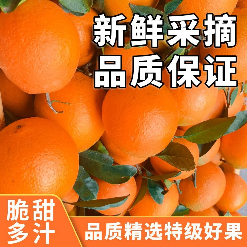 连箱10斤内华容禹山脐橙新鲜现摘多汁香甜皮薄肉厚水果