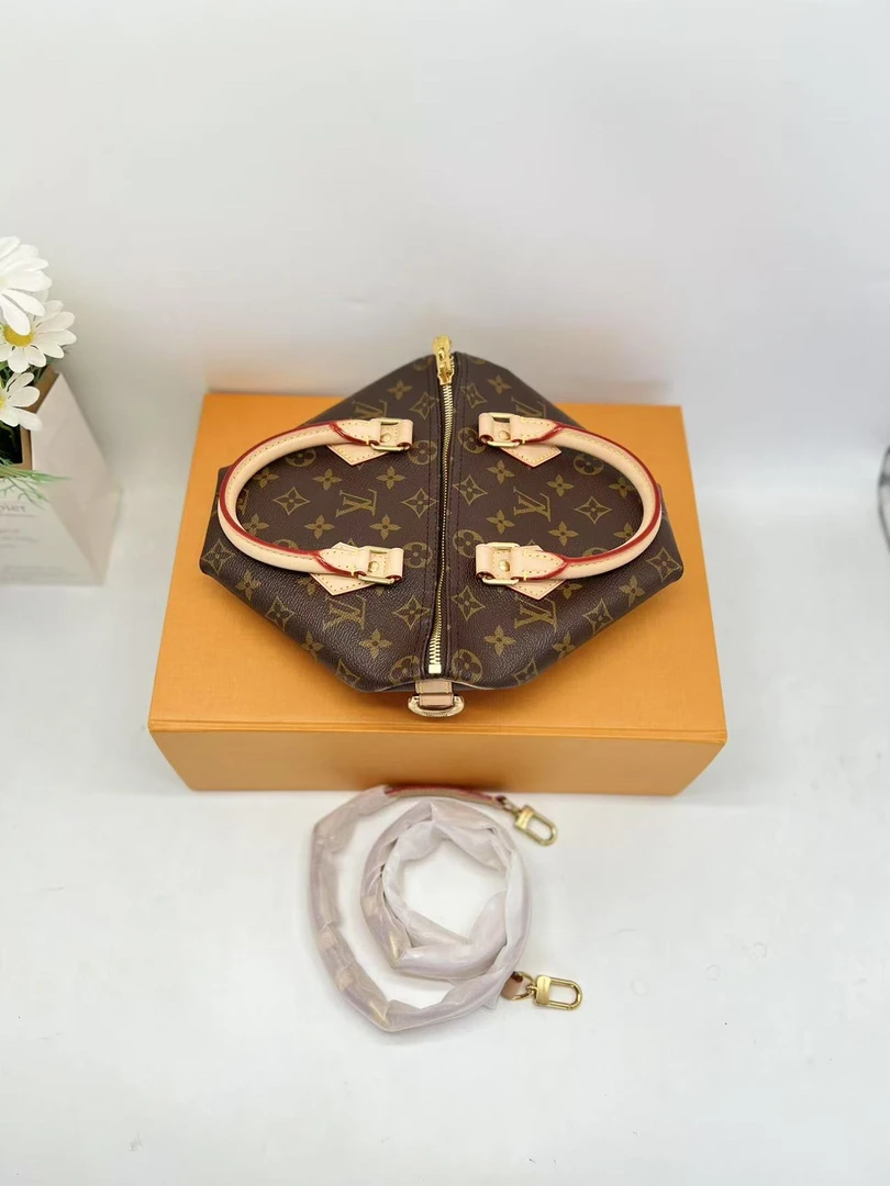 99新 LouisVuitton/路易威登 speedy25老花肩带款/新款