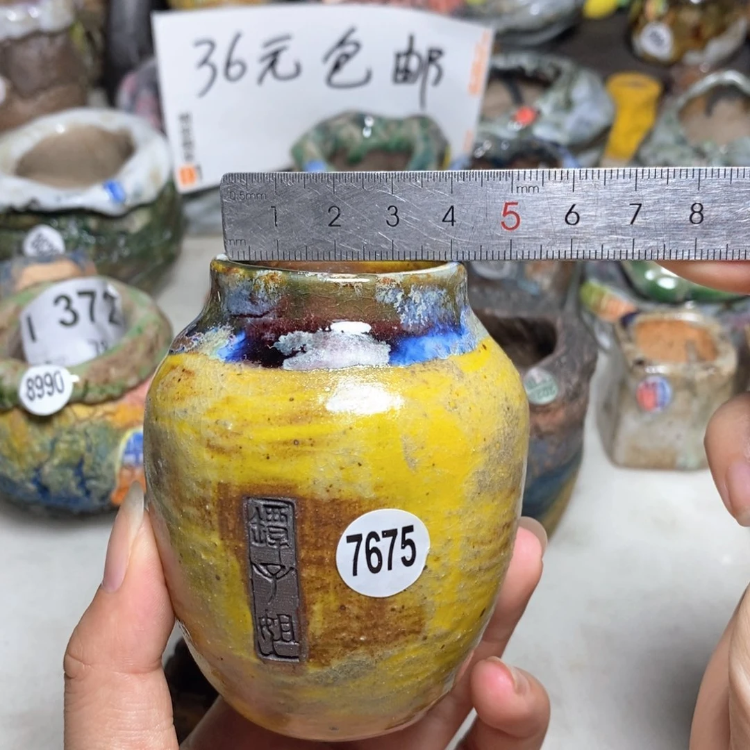 拍3送一个小礼物