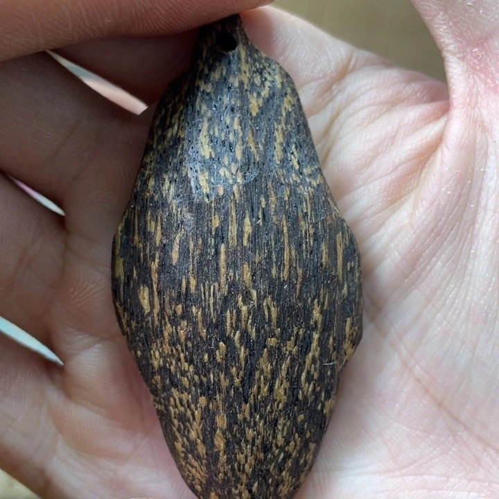 贝壳摆件峰云恩专属精选链接