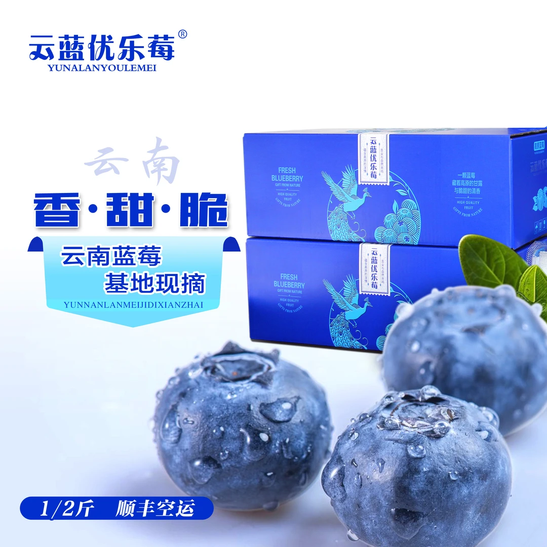 【正宗花香蓝莓】云南蓝莓新鲜蓝莓鲜果现摘应季水果宝宝辅食 顺丰