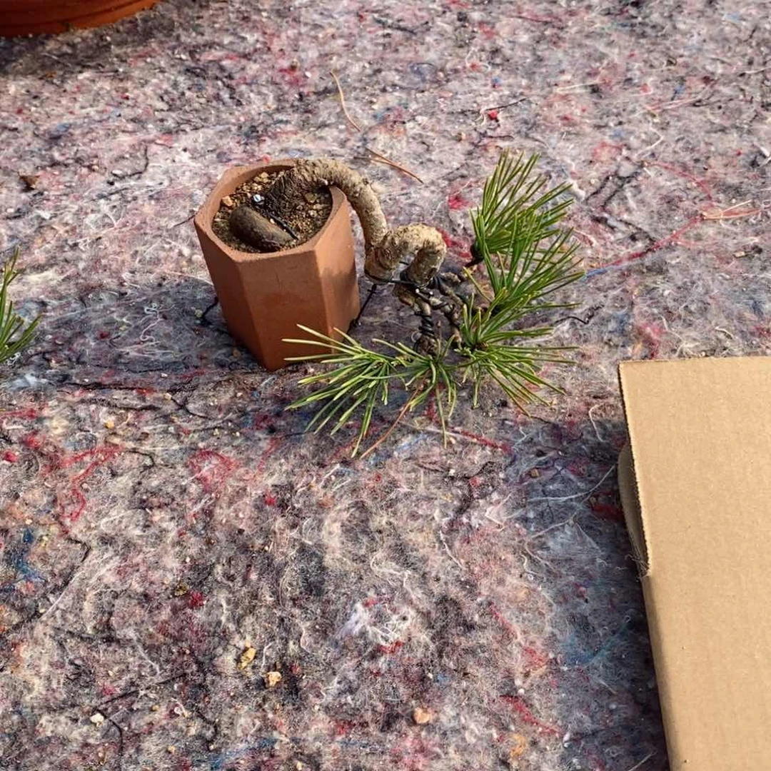 手工艺品琉璃玉**风