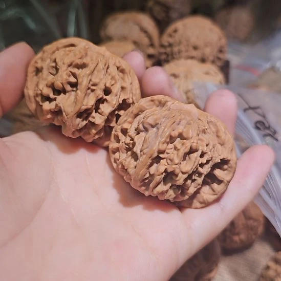 一***天文玩核桃吊坠45狮虎兽