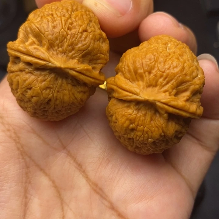 把件文玩核桃37尺密纹元宝