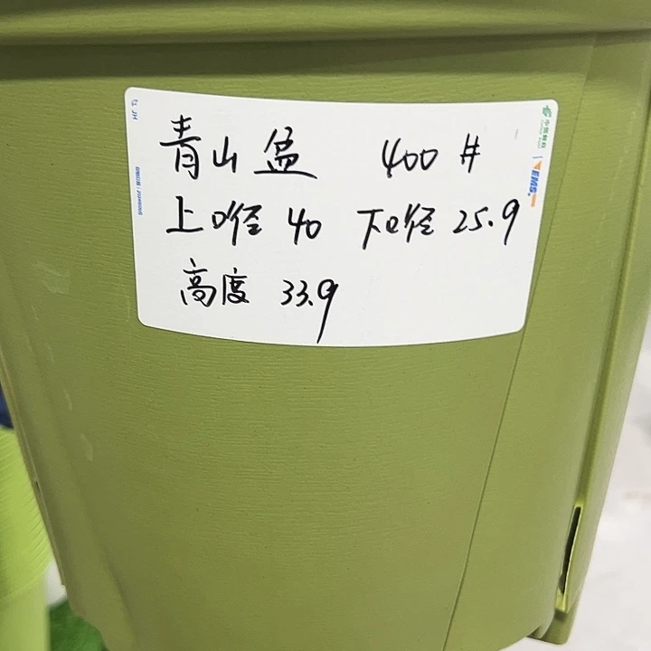 正品青山口40高34果绿无托3个