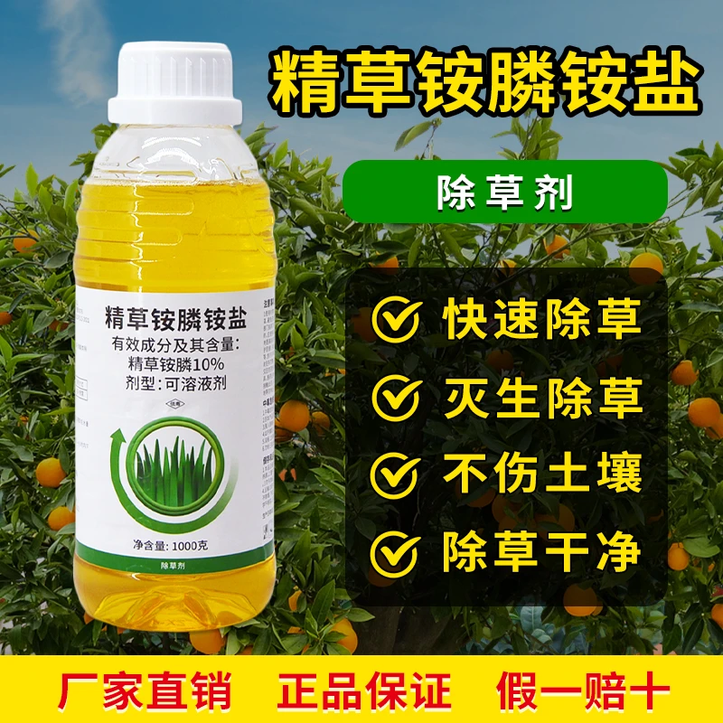 奥丰10%精草铵膦铵盐果园喷施非耕地杂草除草剂