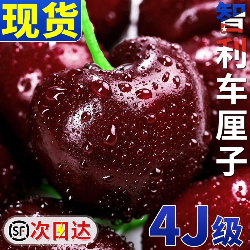 【5斤原箱】K智利进口车厘子脆甜多汁新鲜孕妇水果顺丰京东包邮J-4J