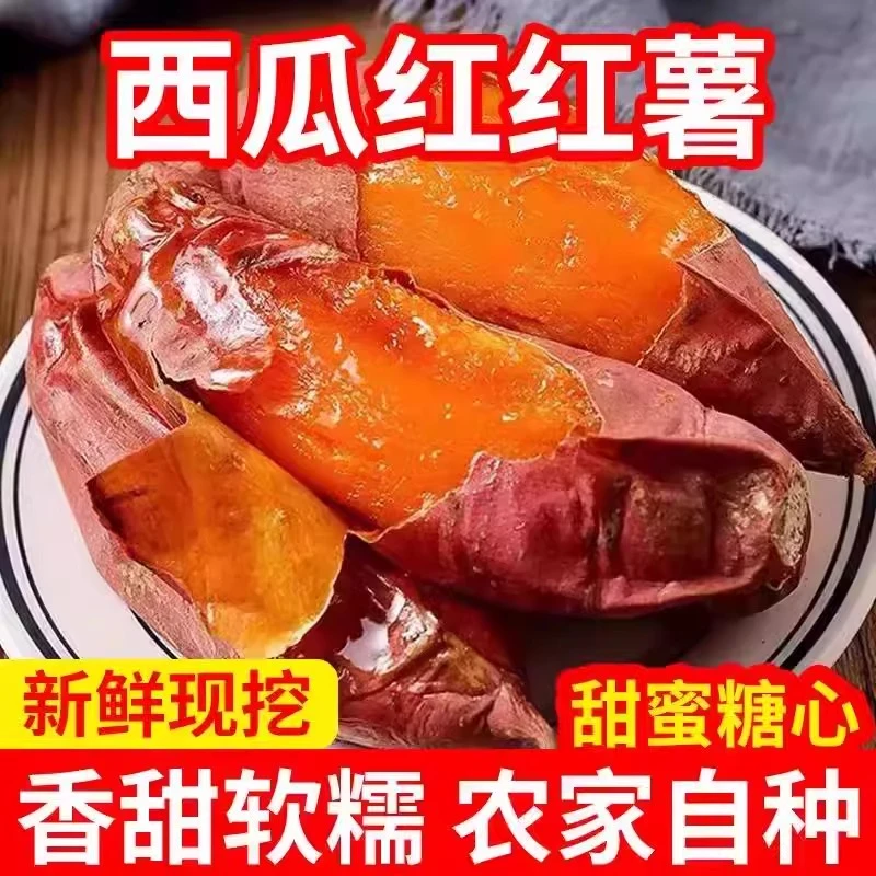 西瓜红蜜薯糖心流油番薯现挖蜜薯应季农家种地瓜新鲜水果整箱包邮