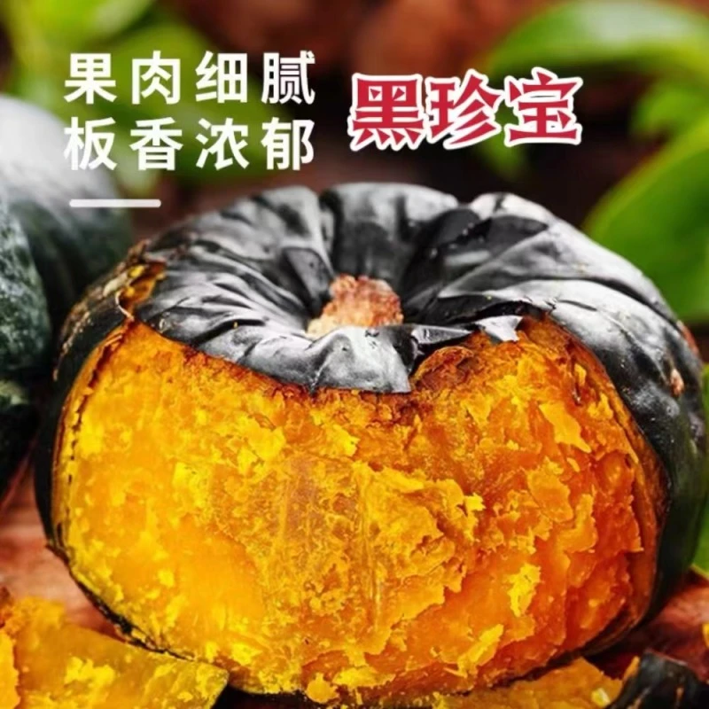 黑珍宝早熟贝贝南瓜种子厚扁圆型深绿皮肉厚瓤深黄色口感甜粉南瓜