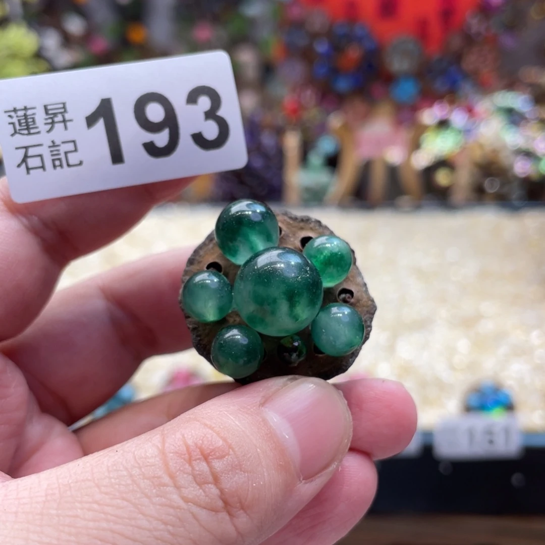 核桃木/黑胡桃（胡桃木）193