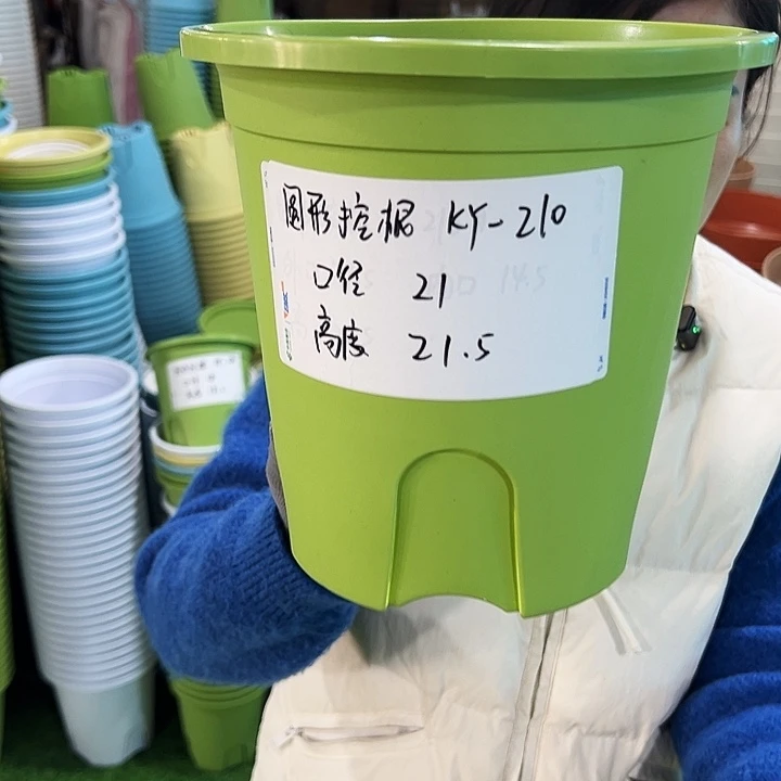 正品圆控口21高21果绿无托8只