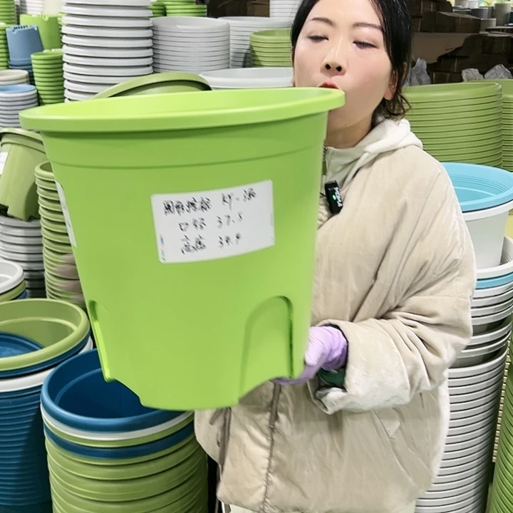 正品圆控口37高34果绿3只无托