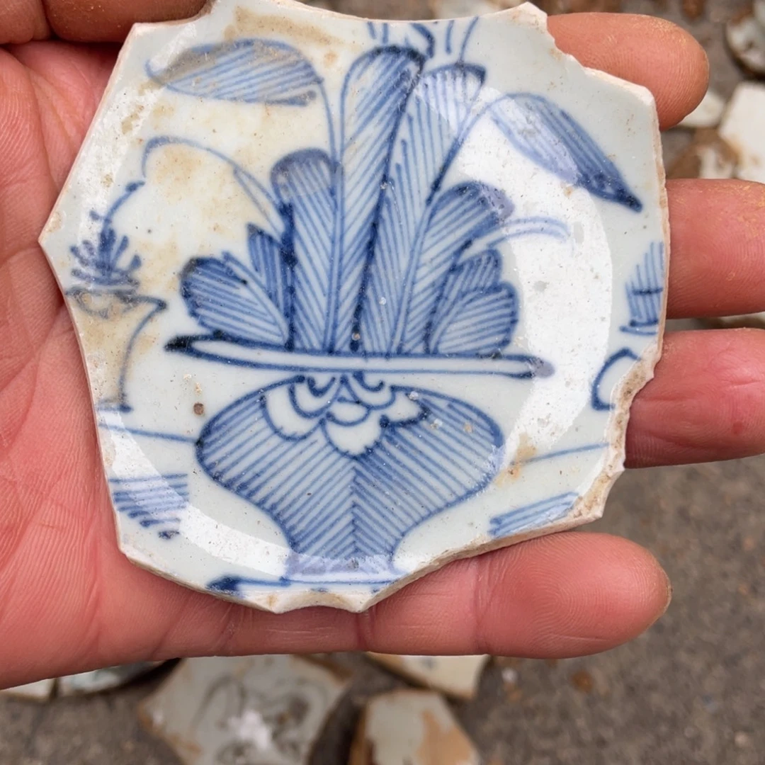 瓷片瓷片瓷片瓷片标本