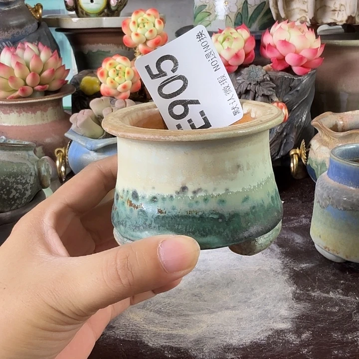 重庆小燕子欢迎大家905