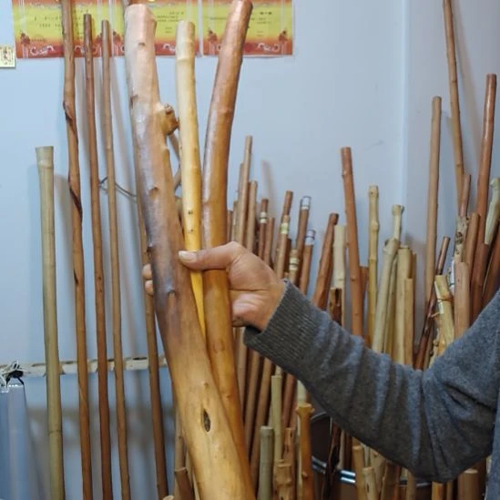 华***i秦岭石山红荀子，牛筋木