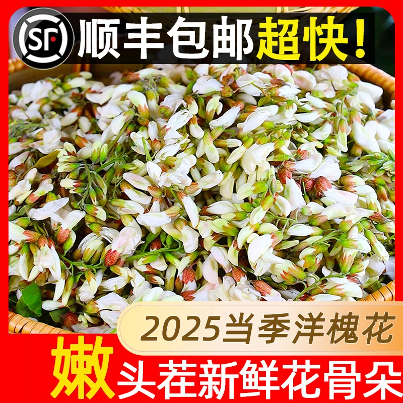 2025新鲜洋槐花现摘现发应季花骨朵农家生菜当季蔬菜榆钱美味