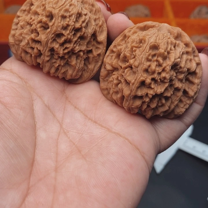 核桃南疆石46尺核桃