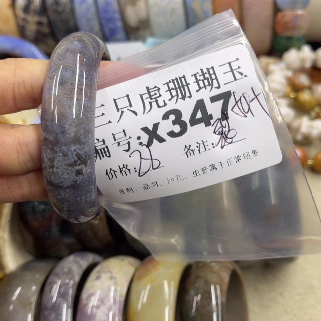 淡***兰硅化珊瑚（珊瑚玉）未镶嵌h