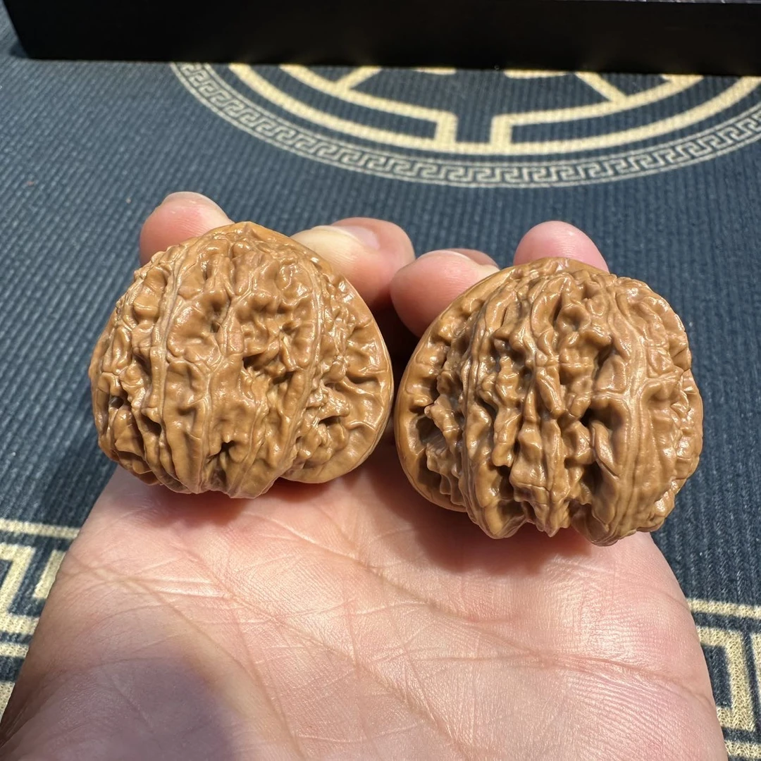 【中国涞水麻核桃协会】26 G42121-白狮子打底核桃-尺寸35-39mm-