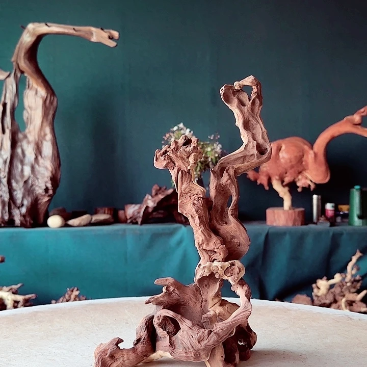 黑果木M***洋538金丝红木羊蹄甲半成品