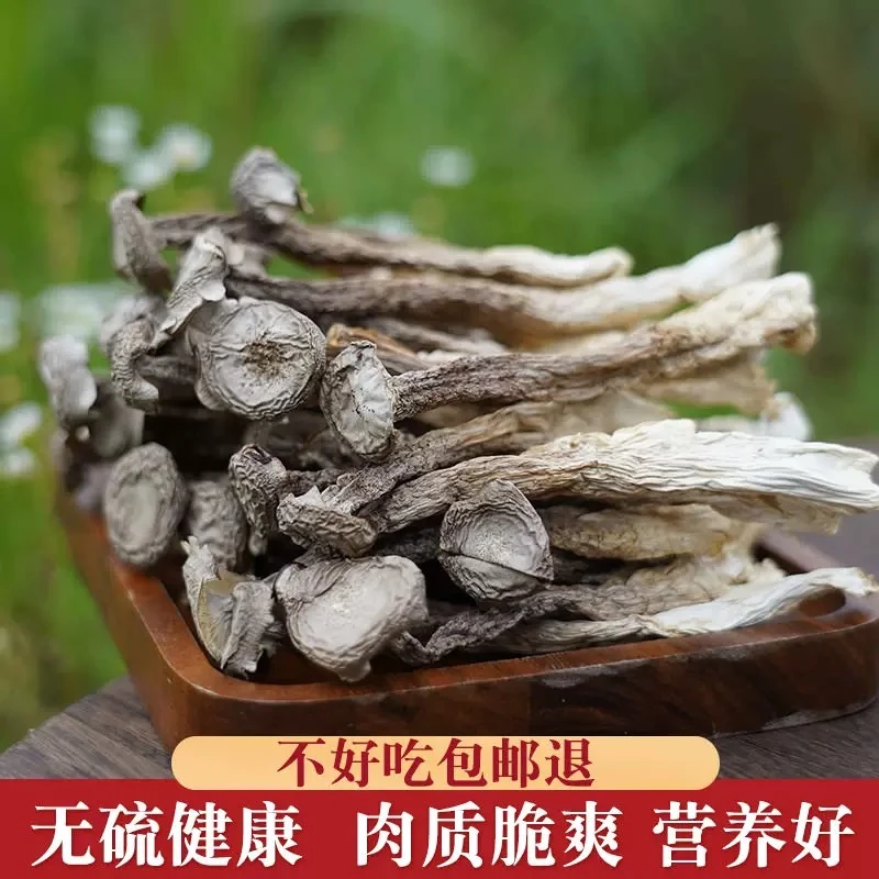 【老太君】250/500g源头产家高山鹿茸菇干货无硫炒菜炖汤炒肉营养高
