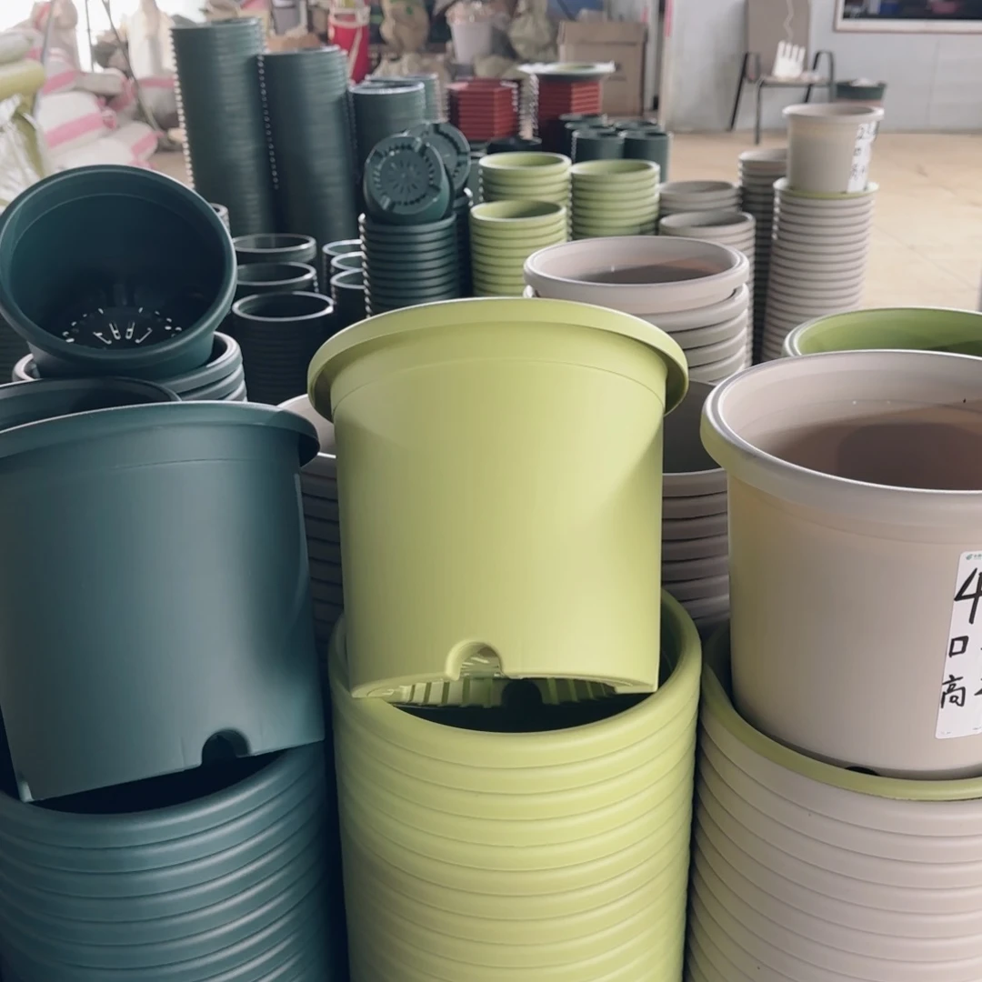 塑料四季4号果绿6个带拖