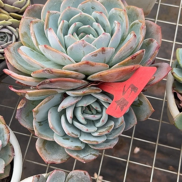 @***@两单包邮，一物一拍54