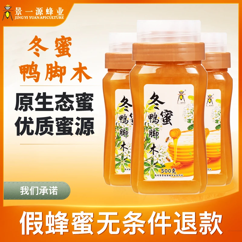 【顺丰包邮 次日送达】广东深山鸭脚木冬蜜纯正大山蜂蜜500g瓶装