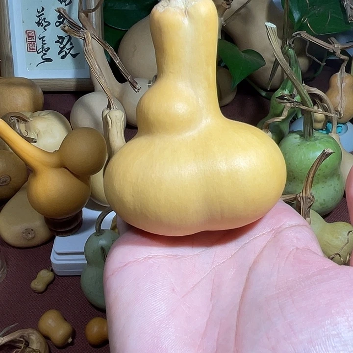 劉****大叶紫檀（黑酸枝木类）