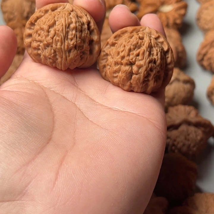 全品38红皮小闷白