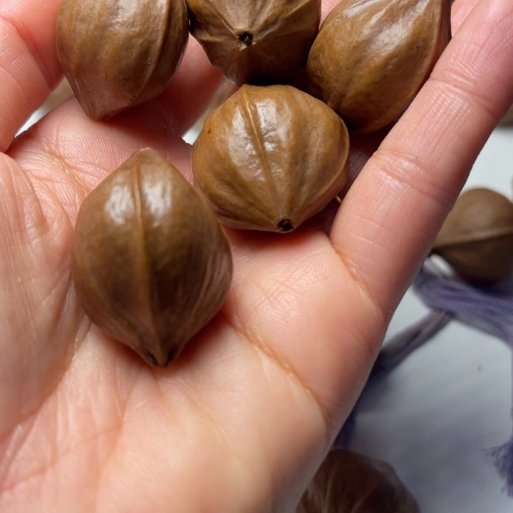 苏***苏橄榄核手串/手链2.7