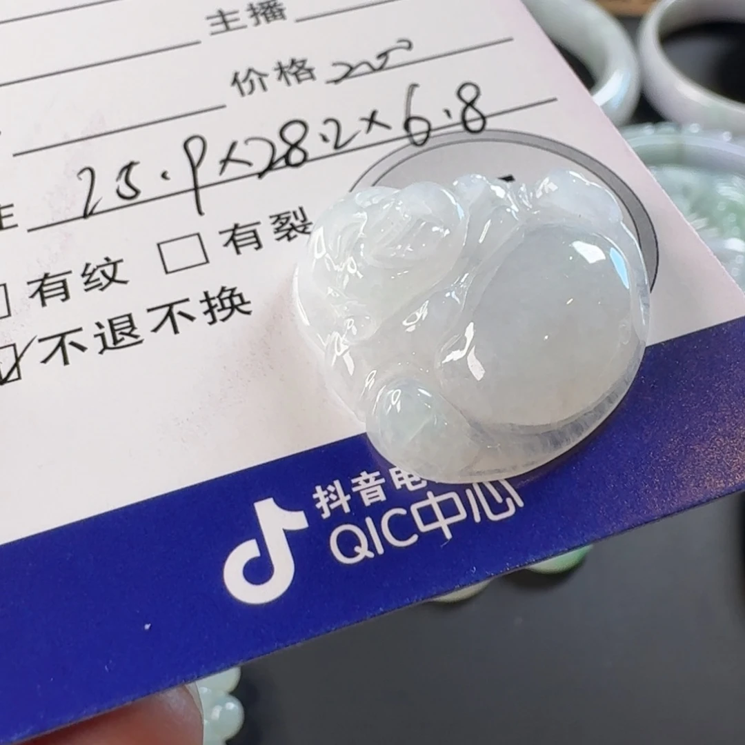 翡翠未镶嵌颈饰颈饰