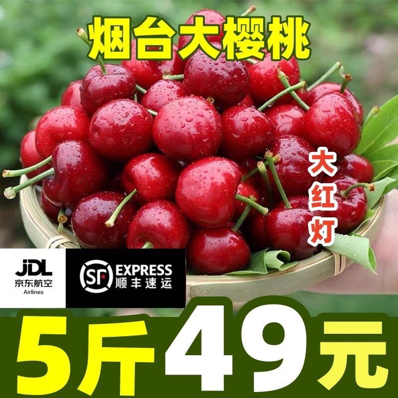 【现货】露天红灯樱桃软糯酸甜山东烟台国产车厘子新鲜现摘5斤