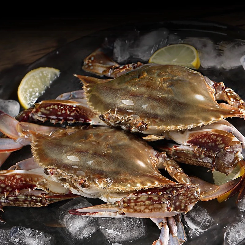 野生中公梭子蟹 3斤 单只3两左右（有断脚） 7-9只  鲜活速冻【冻蟹】