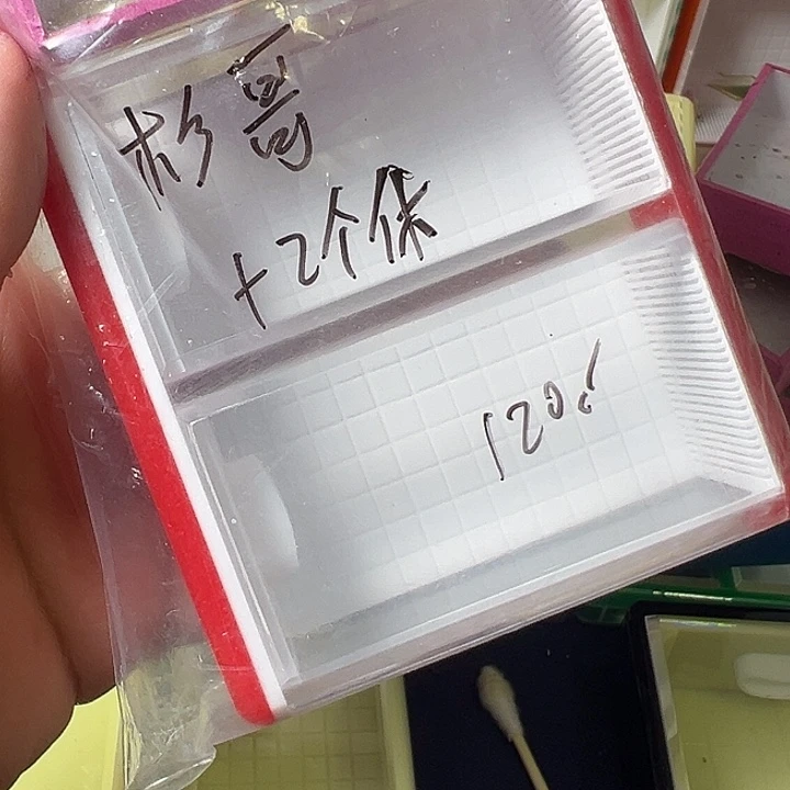 彬***哥蟋蟀哈哈哈哈哈哈哈哈哈哈