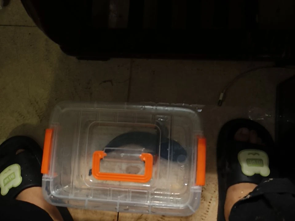 霸***刀来来来来来来来来来