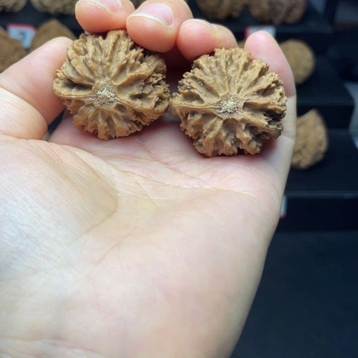 文玩核桃把件秦岭满天星灯笼34