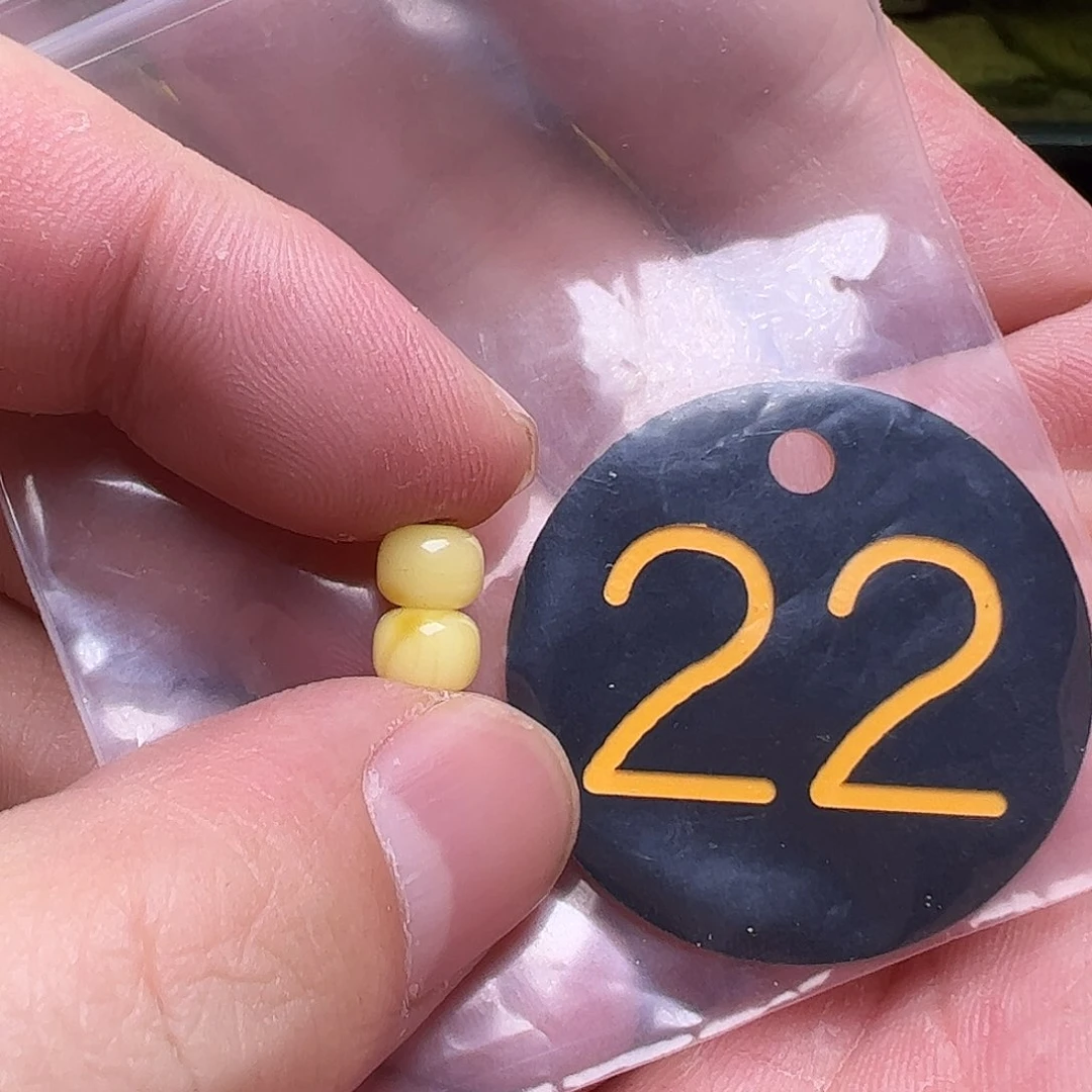 蜜蜡未镶嵌珠宝奇石6.3mm