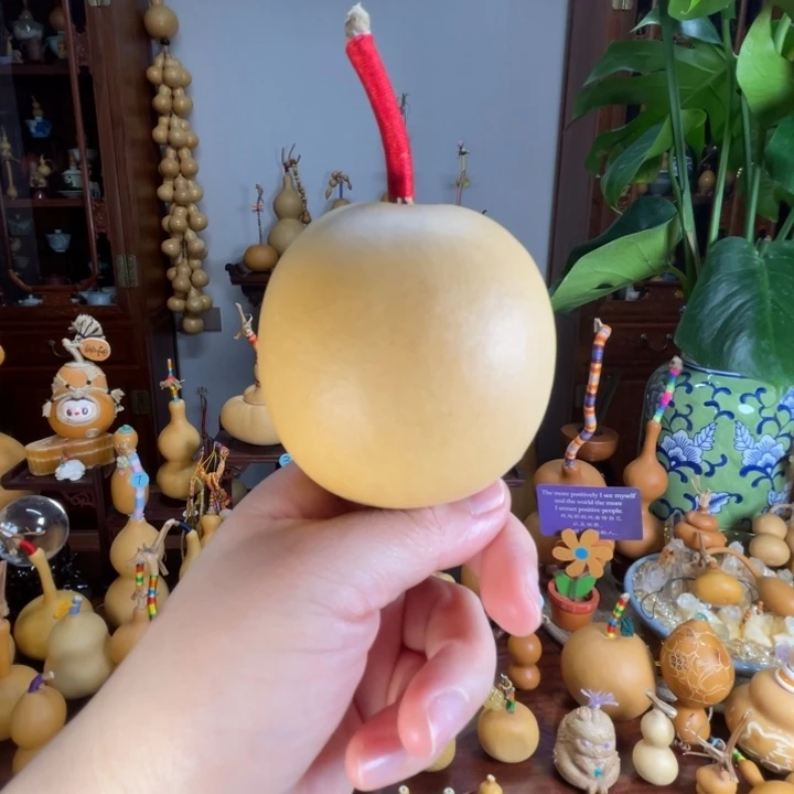 高桩苹果型葫芦满籽厚皮